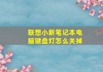 联想小新笔记本电脑键盘灯怎么关掉