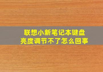 联想小新笔记本键盘亮度调节不了怎么回事