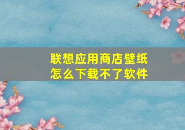 联想应用商店壁纸怎么下载不了软件