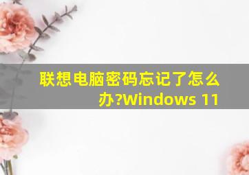 联想电脑密码忘记了怎么办?Windows 11