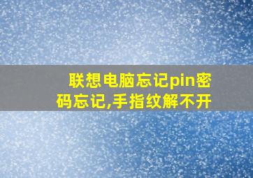 联想电脑忘记pin密码忘记,手指纹解不开