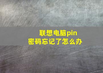 联想电脑pin密码忘记了怎么办