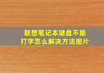 联想笔记本键盘不能打字怎么解决方法图片