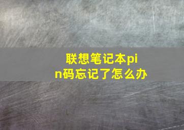 联想笔记本pin码忘记了怎么办