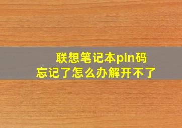 联想笔记本pin码忘记了怎么办解开不了