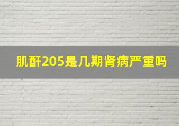 肌酐205是几期肾病严重吗