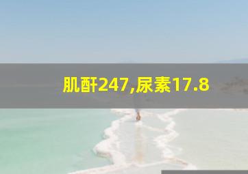 肌酐247,尿素17.8