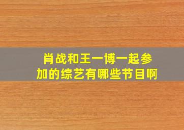 肖战和王一博一起参加的综艺有哪些节目啊