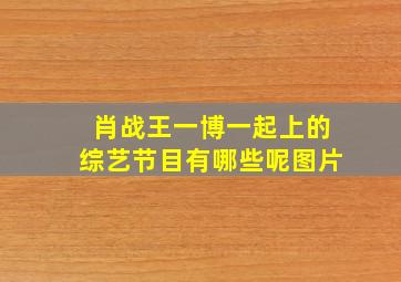 肖战王一博一起上的综艺节目有哪些呢图片