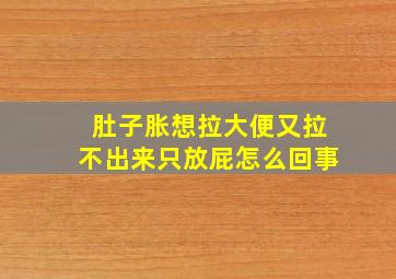 肚子胀想拉大便又拉不出来只放屁怎么回事