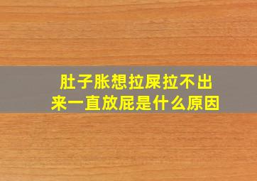 肚子胀想拉屎拉不出来一直放屁是什么原因