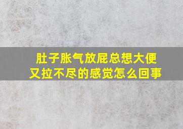 肚子胀气放屁总想大便又拉不尽的感觉怎么回事