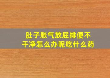 肚子胀气放屁排便不干净怎么办呢吃什么药