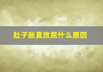 肚子胀直放屁什么原因