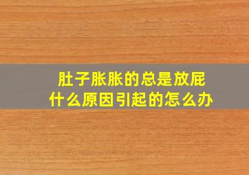 肚子胀胀的总是放屁什么原因引起的怎么办