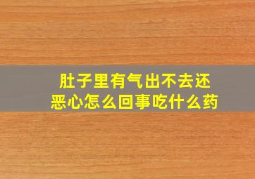 肚子里有气出不去还恶心怎么回事吃什么药