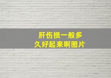 肝伤损一般多久好起来啊图片