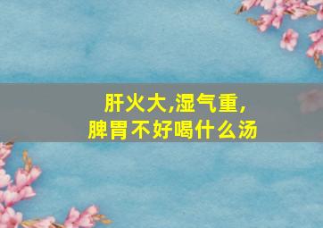 肝火大,湿气重,脾胃不好喝什么汤