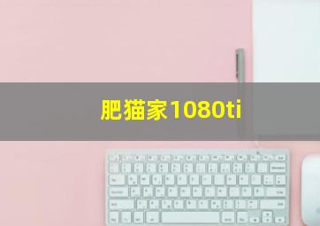 肥猫家1080ti