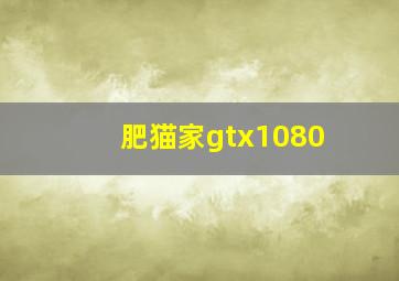 肥猫家gtx1080