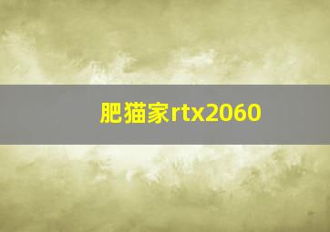 肥猫家rtx2060