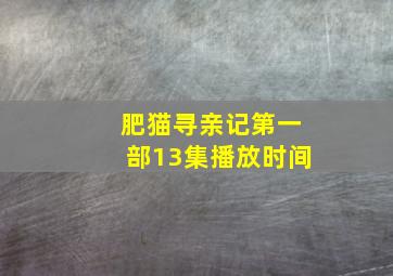 肥猫寻亲记第一部13集播放时间