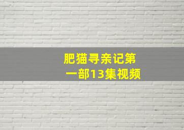 肥猫寻亲记第一部13集视频