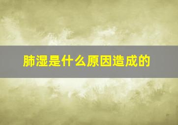 肺湿是什么原因造成的