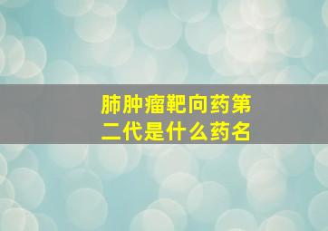 肺肿瘤靶向药第二代是什么药名