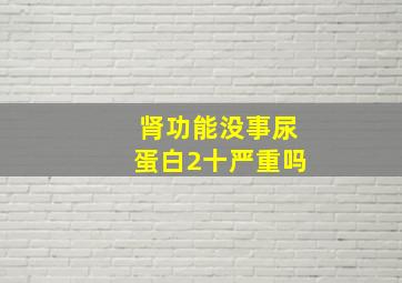 肾功能没事尿蛋白2十严重吗