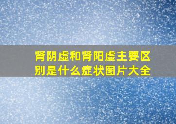 肾阴虚和肾阳虚主要区别是什么症状图片大全