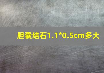 胆囊结石1.1*0.5cm多大