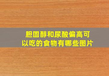 胆固醇和尿酸偏高可以吃的食物有哪些图片