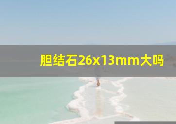 胆结石26x13mm大吗