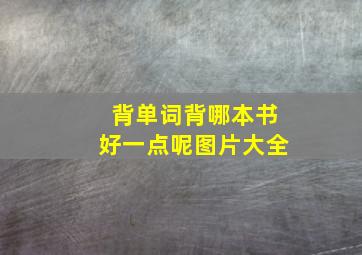 背单词背哪本书好一点呢图片大全