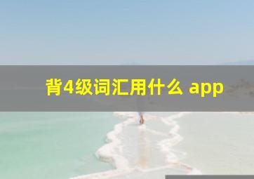 背4级词汇用什么 app