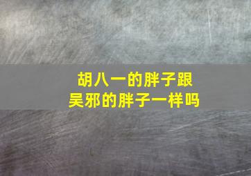 胡八一的胖子跟吴邪的胖子一样吗