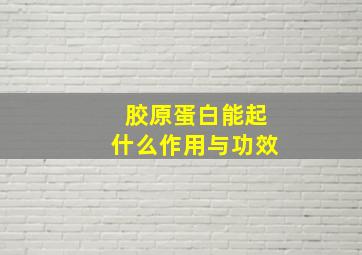 胶原蛋白能起什么作用与功效