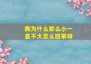 胸为什么那么小一直不大怎么回事呀