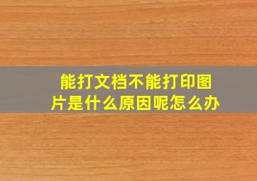 能打文档不能打印图片是什么原因呢怎么办