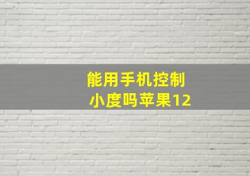 能用手机控制小度吗苹果12