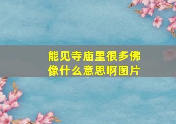 能见寺庙里很多佛像什么意思啊图片