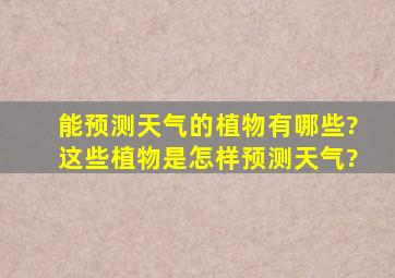 能预测天气的植物有哪些?这些植物是怎样预测天气?