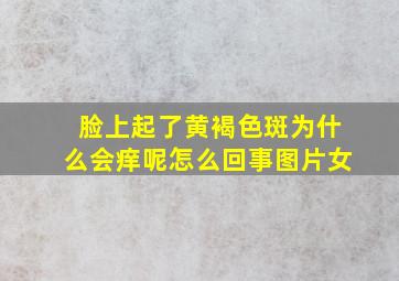 脸上起了黄褐色斑为什么会痒呢怎么回事图片女