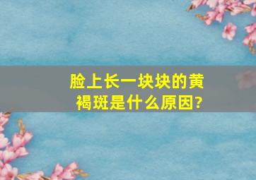 脸上长一块块的黄褐斑是什么原因?