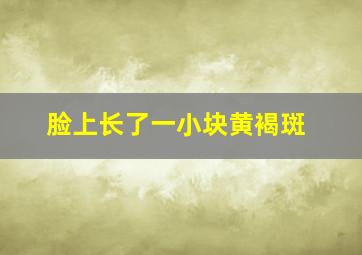 脸上长了一小块黄褐斑