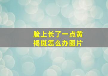 脸上长了一点黄褐斑怎么办图片