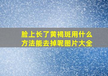 脸上长了黄褐斑用什么方法能去掉呢图片大全