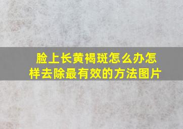 脸上长黄褐斑怎么办怎样去除最有效的方法图片