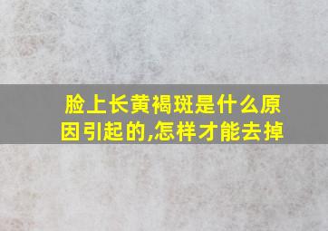 脸上长黄褐斑是什么原因引起的,怎样才能去掉